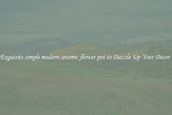 Exquisite simple modern ceramic flower pot to Dazzle Up Your Décor  