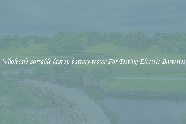 Wholesale portable laptop battery tester For Testing Electric Batteries