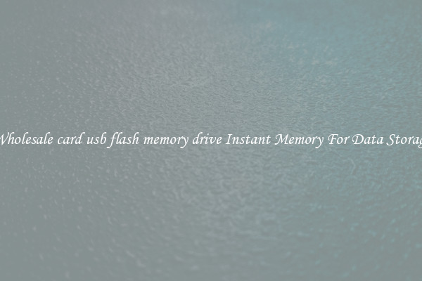 Wholesale card usb flash memory drive Instant Memory For Data Storage