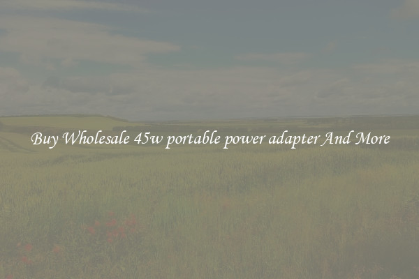 Buy Wholesale 45w portable power adapter And More