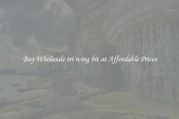 Buy Wholesale tri wing bit at Affordable Prices