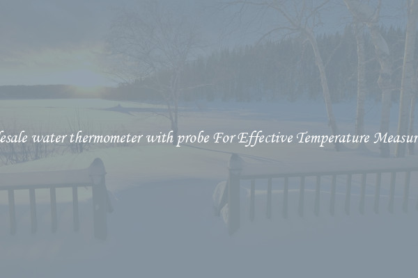 Wholesale water thermometer with probe For Effective Temperature Measurement