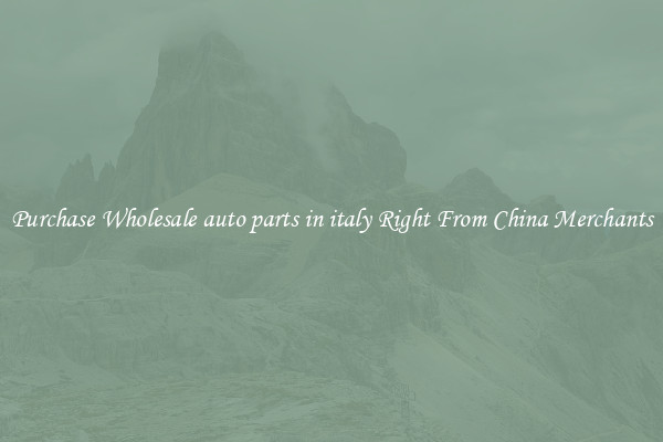 Purchase Wholesale auto parts in italy Right From China Merchants