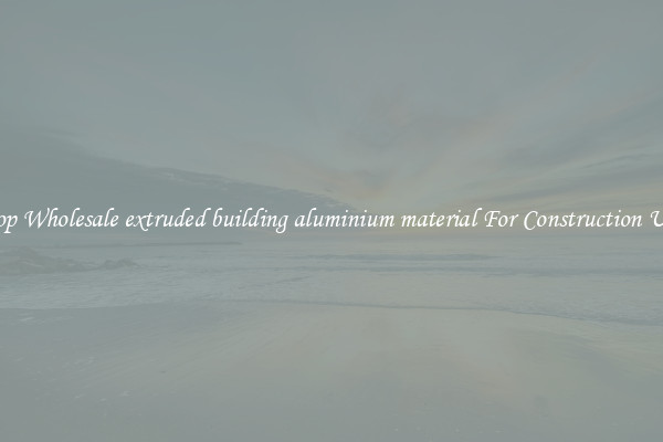 Shop Wholesale extruded building aluminium material For Construction Uses