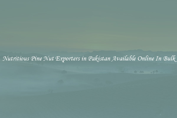 Nutritious Pine Nut Exporters in Pakistan Available Online In Bulk