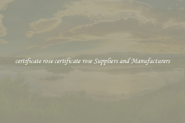 certificate rose certificate rose Suppliers and Manufacturers