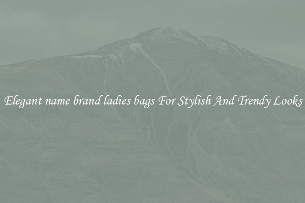 Elegant name brand ladies bags For Stylish And Trendy Looks