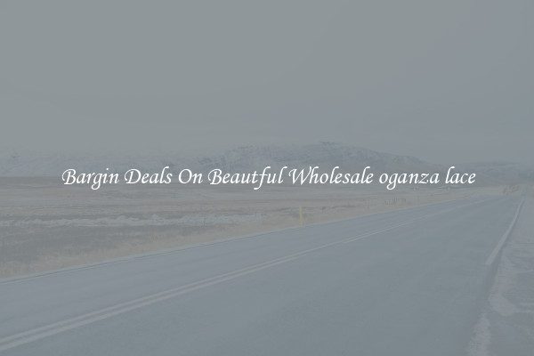 Bargin Deals On Beautful Wholesale oganza lace
