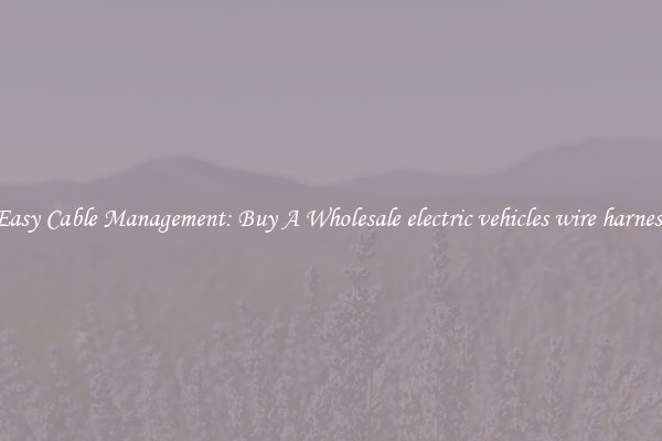 Easy Cable Management: Buy A Wholesale electric vehicles wire harness