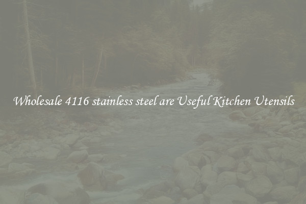 Wholesale 4116 stainless steel are Useful Kitchen Utensils