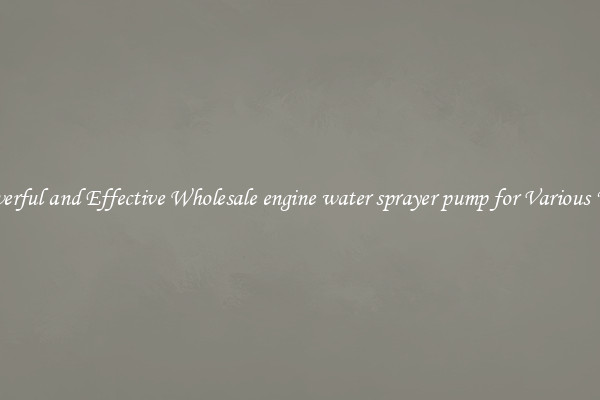 Powerful and Effective Wholesale engine water sprayer pump for Various Uses