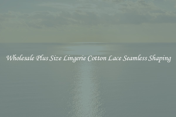Wholesale Plus Size Lingerie Cotton Lace Seamless Shaping