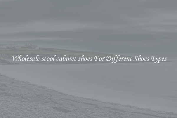 Wholesale stool cabinet shoes For Different Shoes Types