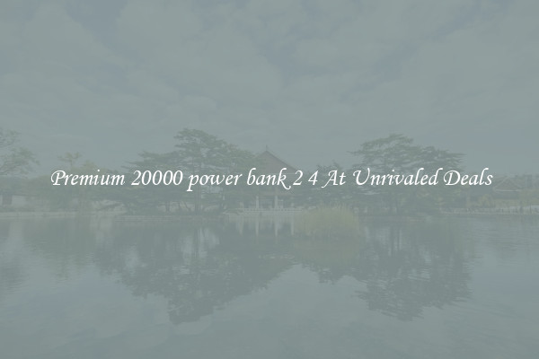 Premium 20000 power bank 2 4 At Unrivaled Deals