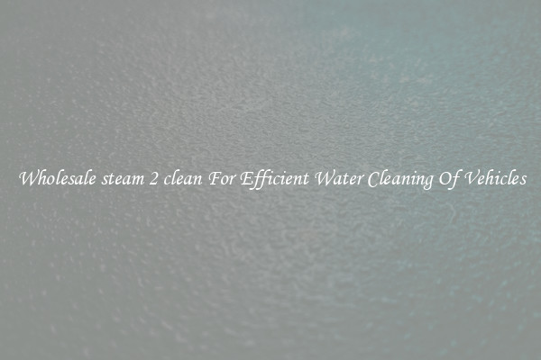 Wholesale steam 2 clean For Efficient Water Cleaning Of Vehicles