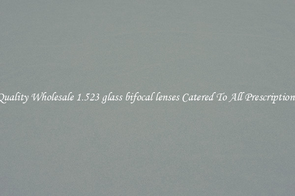 Quality Wholesale 1.523 glass bifocal lenses Catered To All Prescriptions