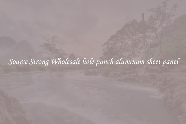 Source Strong Wholesale hole punch aluminum sheet panel