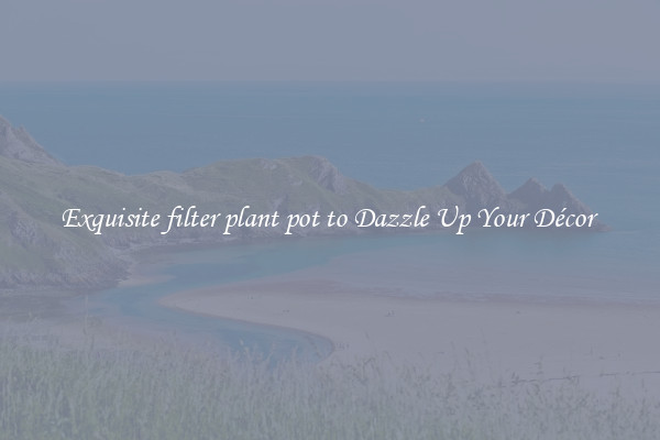 Exquisite filter plant pot to Dazzle Up Your Décor 
